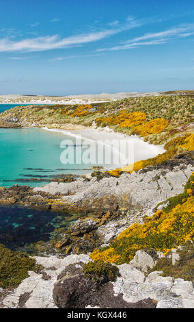 Vertical view of white sandy crescent beach and turquoise water of Gypsy Cove on East Falkland Island (Islas Malvinas). Rocky coastline in foreground. Stock Photo