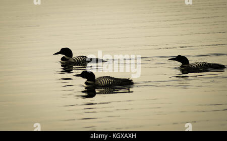 Allagash Wilderness Waterway Stock Photo