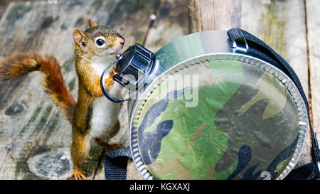 Allagash Wilderness Waterway Stock Photo