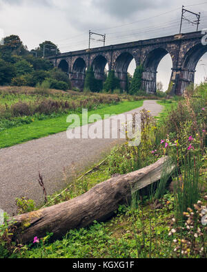 The Sankey Viaduct in Newton le Willows, Merseyside Stock Photo