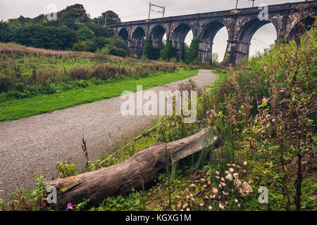 The Sankey Viaduct in Newton le Willows, Merseyside Stock Photo