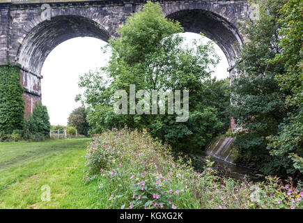 The Sankey Viaduct in Newton le Willows, Merseyside Stock Photo