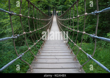 Suspension Bridge Inside A Forest Stock Photo
