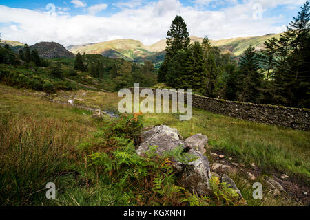 Above Grasmere on Silver How, Lake District National Park, Cumbria Stock Photo