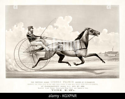 Old illustration of a trotting horse (George Palmer driven by C. Champlin). By Cameron, publ, in New York, ca. 1870 Stock Photo