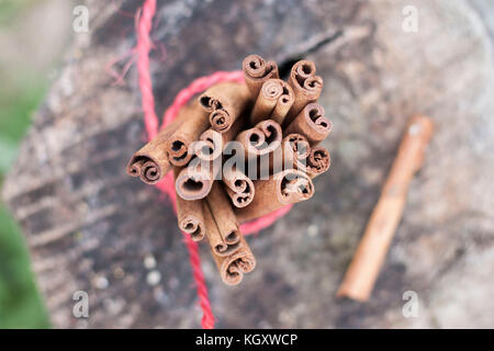 Cassia cinnamon sticks tied together with red rope on wood log Stock Photo