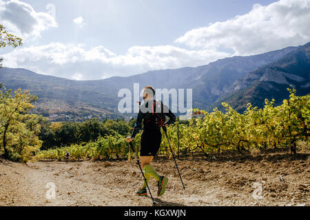 man runner athlete running on sun valley vineyard during Crimea Х Run Stock Photo