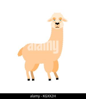 Lama Alpaca sad. Animal sorrowful emoji. Vector illustration Stock Vector