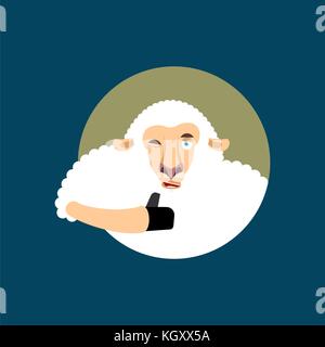 Sheep thumbs up and winks emoji. Ewe happy emoji. Farm animal. Vector ...