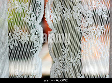 see through decorated curtains with white floral texture Stock Photo