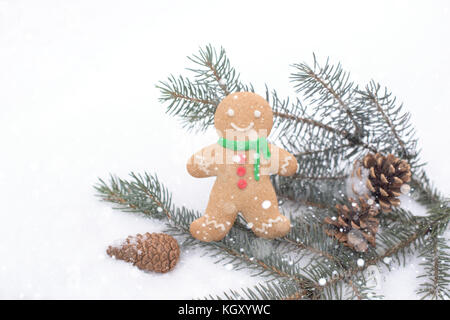 Ginger and fir branches and cones on the snow Stock Photo