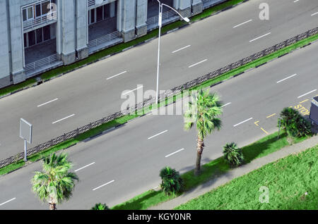 City street with an empty road, surrounded by palm trees and lawn. View from above. Stock Photo