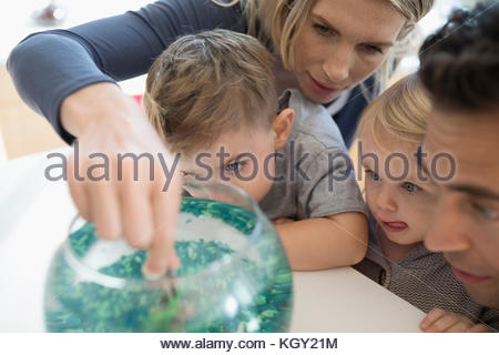 Young family feeding goldfish in bowl