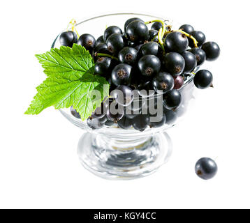 black currant berries in a glass isolated on a white background. a delicious dessert of fresh black currant Stock Photo