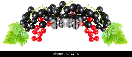 panorama fresh berries of currant isolated on a white background. berries black currant and red currant with green leaves close up Stock Photo
