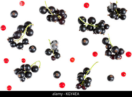 berries of black currant and red currant isolated on white background. flat lay, top view. seamless background Stock Photo