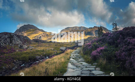 Stone Foot Path in Scenic  Snowodnia Mountains in North Wales UK Stock Photo