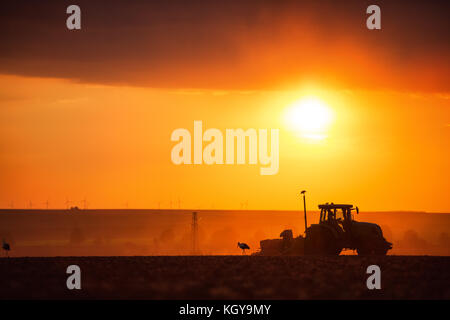 Farmer in tractor preparing land with seedbed cultivator, sunset shot Stock Photo