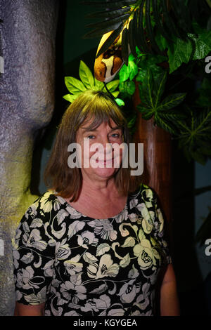 Stratford, London, UK. 11th Nov, 2017. Dozens of family and children bring to A World Inside A Book at the Discover Children's Story Centre with Julia Donaldson is an author and Axel Scheffler is a German-born illustrator and animation 11th November 2017,  Stratford, London, UK Credit: See Li/Alamy Live News Stock Photo