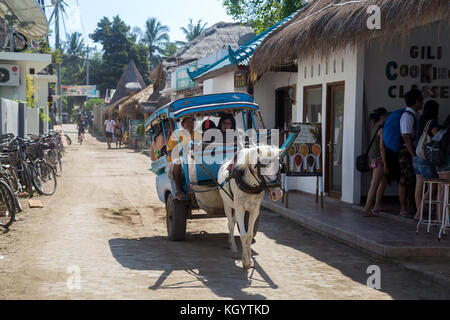 A Horse-taxi On On Gili Trawangan, Indonesia, Where No Car Is On The ...