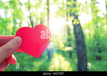 hand holding heart on forest background. blur. love to natuer concept Stock Photo