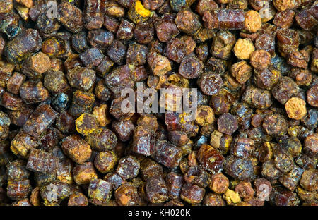 Propolis Texture Propolis granules grunge texture background, bee product Stock Photo ...