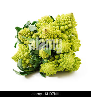 Cabbage romanesco  isolated on white background Stock Photo