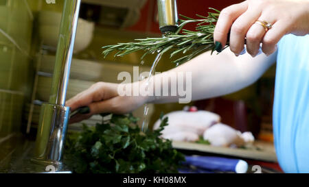 Low angle view Female hands washing bunch of fresh rosemary herb in water flow. Stock Photo