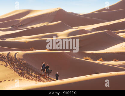 Erg Chebbi sand dunes in the Sahara Desert near Merzouga at early sunny morning, Morocco.  Berber male  guide in traditional dress leading  two touris Stock Photo