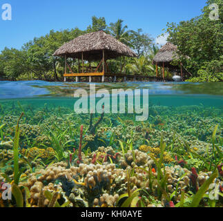 A thatched tropical hut over the water with a colorful coral reef underwater, Caribbean sea Stock Photo