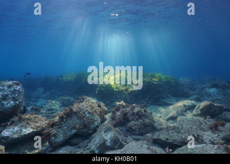 Underwater Sunlight Rocky Seabed Mediterranean Sea Stock Image