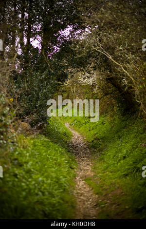 A footpath near St Mawes in Cornwall, UK Stock Photo