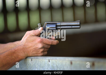 Smith & Wesson .357 magnum revolver being fired by a slaughterman slaughtering cows on a Devon farm. Stock Photo