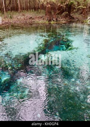 Gilchrist Blue Springs State Park, Along The Santa Fe River, Gilchrist ...