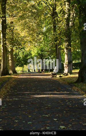 Autumnal scenic view in The Valley Gardens,Harrogate,North Yorkshire,England,UK. Stock Photo