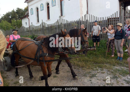 Viscri, Transylvania, Romania. 10th Aug, 2017. Hikers making way for a horse-drawn cart in Viscri, Transylvania, Romania, 10 August 2017. Credit: Henning Kaiser/dpa/Alamy Live News Stock Photo