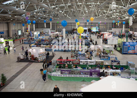 ROME, ITALY - NOVEMBER 11, 2017: The Super Cat Show, one of the most important feline events from Italy and in the world. In competition, the most beautiful and elegant specimens. Stock Photo