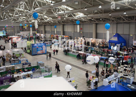 ROME, ITALY - NOVEMBER 11, 2017: The Super Cat Show, one of the most important feline events from Italy and in the world. In competition, the most beautiful and elegant specimens. Stock Photo