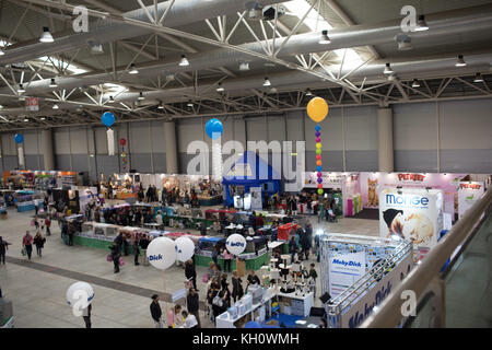 ROME, ITALY - NOVEMBER 11, 2017: The Super Cat Show, one of the most important feline events from Italy and in the world. In competition, the most beautiful and elegant specimens. Stock Photo