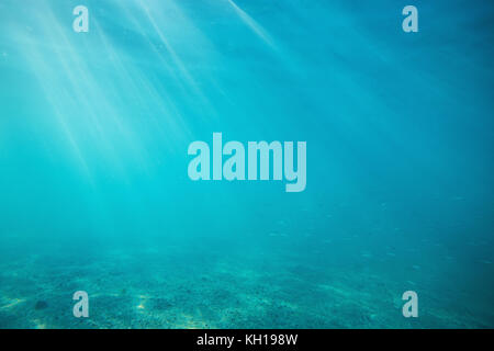 Underwater shot with sunrays and fish in deep tropical sea Stock Photo