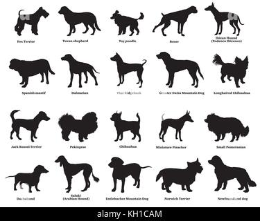 Vector set of different breeds dogs silhouettes isolated in black color on white background. Part 4 Stock Vector