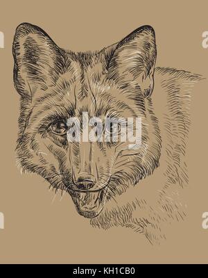 Vector hand drawing  portrait of fox in black and white colors isolated on beige background Stock Vector