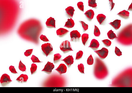red flower petals breeze, isolated on white. Stock Photo