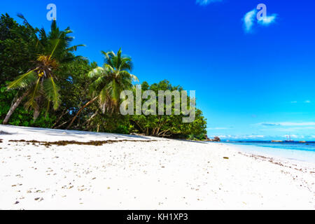 Palm trees, white sand and turquoise water at the paradise beach of anse severe, la digue, seychelles. A beautiful tropical lagoon... Stock Photo
