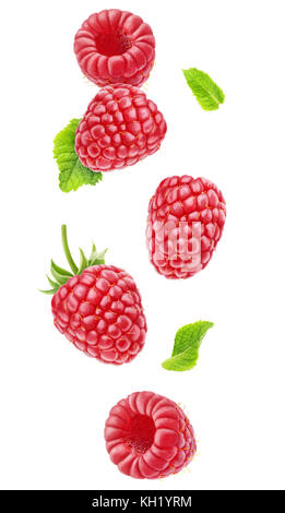 Isolated berries in the air. Falling raspberry fruits with leaves isolated on white background with clipping path Stock Photo