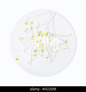 Bean sprouts isolated in white plate on white background. Stock Photo