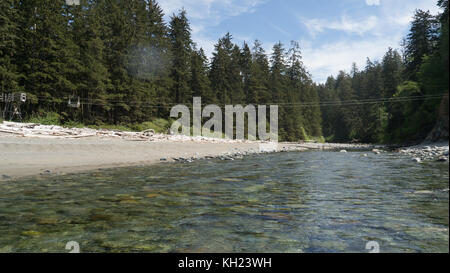 (West Coast Trail, Vancouver Island, BC, Canada) Stock Photo