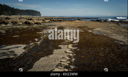 (West Coast Trail, Vancouver Island, BC, Canada) Stock Photo