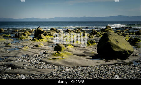 (West Coast Trail, Vancouver Island, BC, Canada) Stock Photo