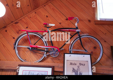 vintage murray bicycle